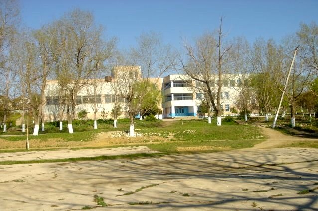 vovcok