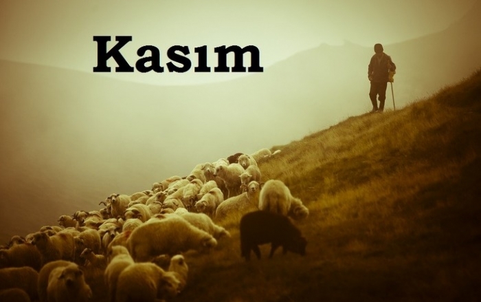 Региональный конкурс среди учебных заведений &laquo;Kasım Gagauzlarda&raquo;: Итоги