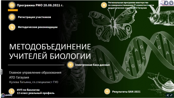 Региональные методические объединения педагогов по школьным дисциплинам в преддверии нового учебного года